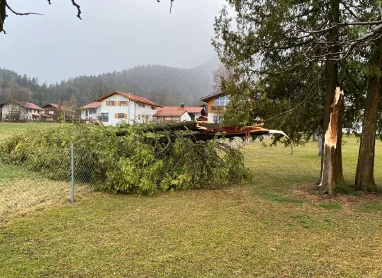 Sturmschaden am Zaun