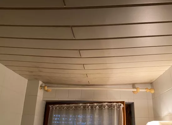 Verschimmelte Decke nach Wasserschaden