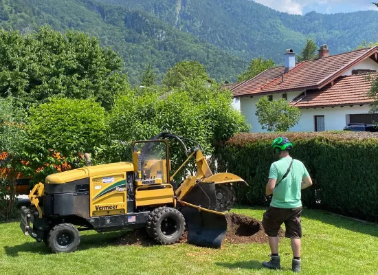 Wurzelstockentfernung mit Fräse
