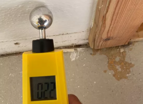 Kontrolle Wandfeuchte zur Schimmelvorbeugung