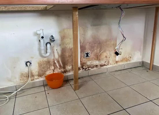 Schimmel hinter Küchenzeile