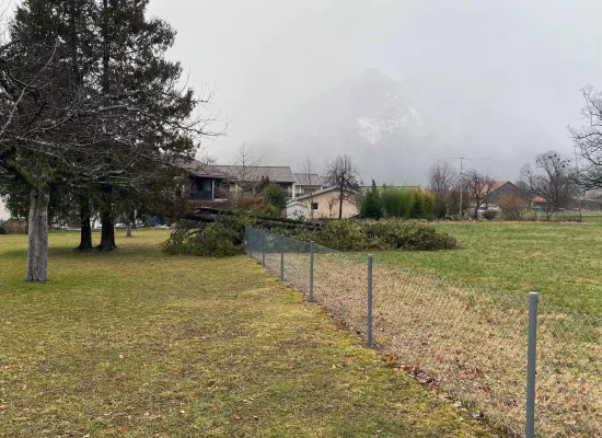 Beseitigen Sturmschaden am Zaun