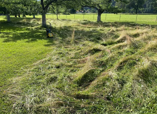 Mahd Bienenwiese in Obstgarten