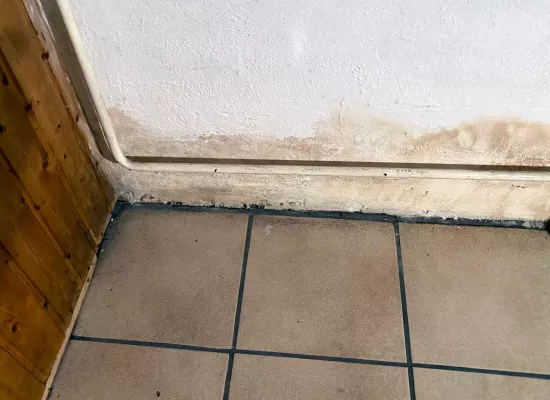 Aufsteigende Feuchte