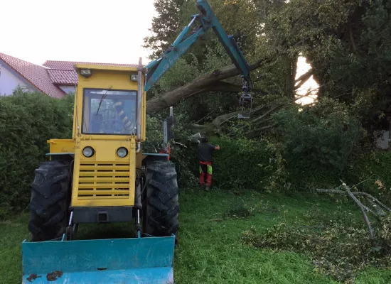 Beseitigung Sturmschaden