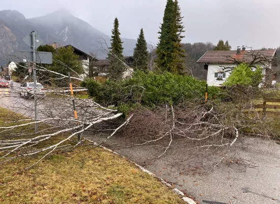 Notfalleinsatz beseitigen Baum von Straße