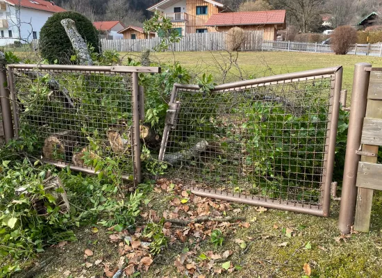 Sturmschaden am Tor