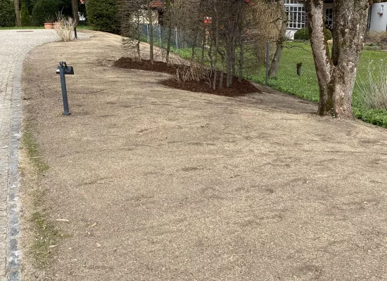 Neu angelegte Wiese mit Bepflanzung