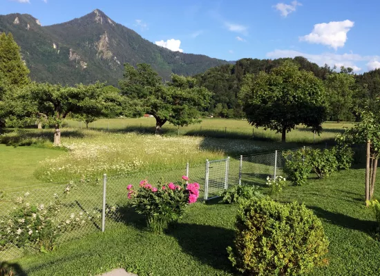 Betreute Streuobstwiese