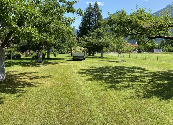 Grünlandpflege im Streuobstgarten