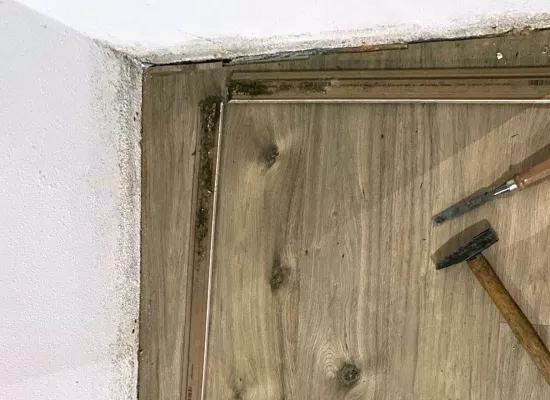 Schimmel nach Wasserschaden