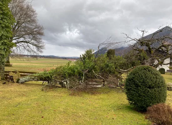 Sturmschaden in Garten